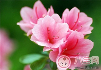 產(chǎn)后腰酸背痛的原因  如何緩解癥狀