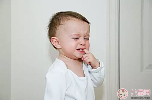 寶寶的六齡齒會換掉嗎 寶寶乳牙里的六齡牙終生不換