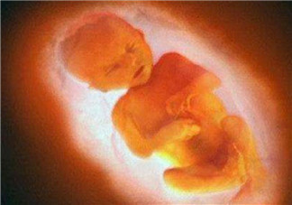 孕婦四維彩超的最佳時間 孕婦一定要做四維彩超嗎