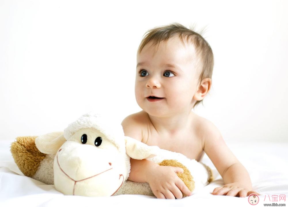 寶寶需要的營養(yǎng)素 如何補(bǔ)充所需營養(yǎng)素 寶寶需要的營養(yǎng)素 如何補(bǔ)充所需營養(yǎng)素