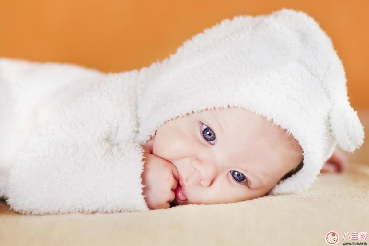 經常喝菊花晶的寶寶 會出現哪些“隱患”？