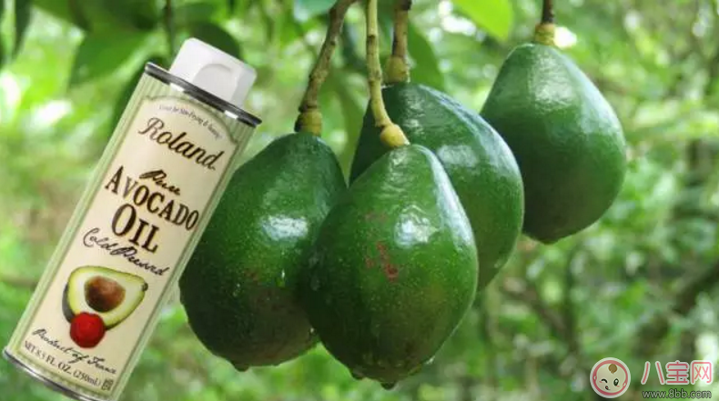 Roland 羅朗德核桃油&牛油果油 寶寶孕媽都愛吃的植物油 Roland 羅朗德核桃油&牛油果油 寶寶孕媽都愛吃的植物油