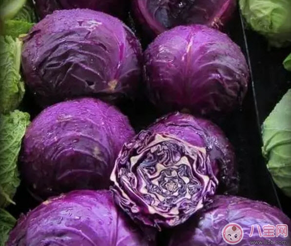紫包菜孕婦可以生吃涼拌吃嗎 適合孕婦吃的紫甘藍涼拌菜有哪些