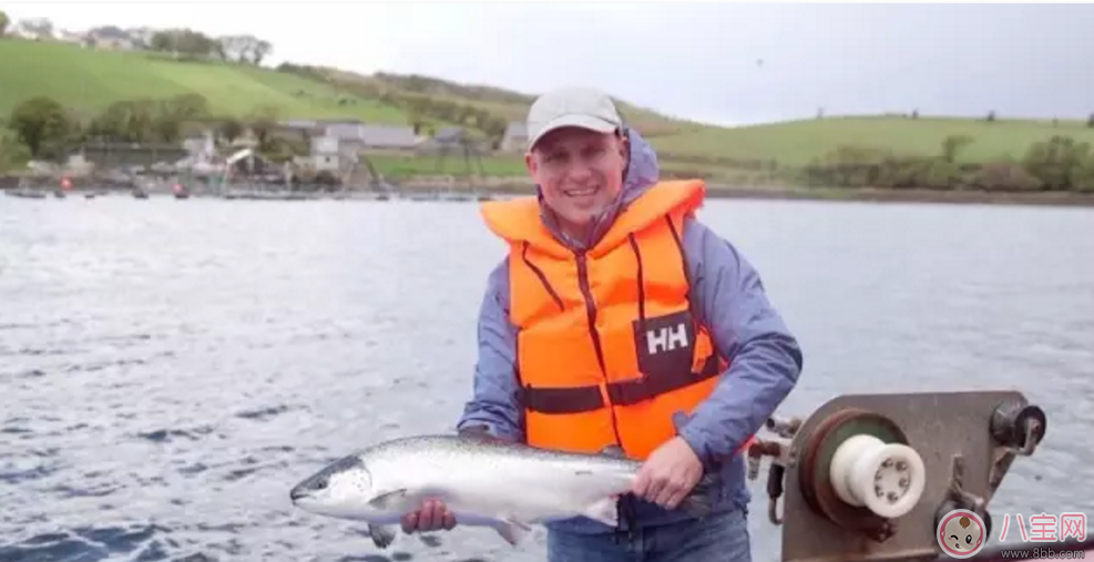 范瑋琪的寶寶也在吃 小皮輔食寶寶口糧必囤 范瑋琪的寶寶也在吃 小皮輔食寶寶口糧必囤