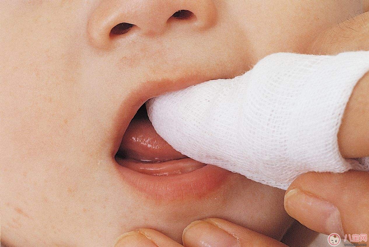 母乳寶寶的牙齒保健 如何護理寶寶牙齒