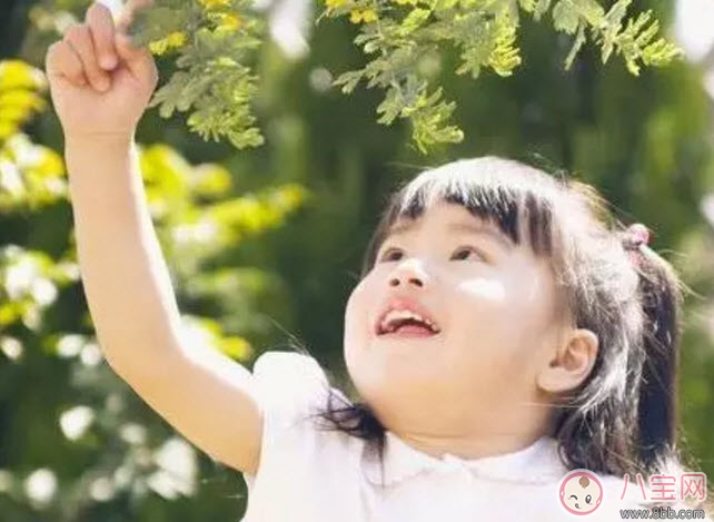 寶寶秋季怎么長高 寶寶秋季長高補鈣吃什么 寶寶秋季怎么長高 寶寶秋季長高補鈣吃什么