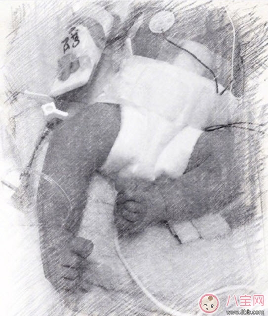 侯佩岑二胎得子侯佩岑二胎寶寶叫什么名字 侯佩岑二胎得子侯佩岑二胎寶寶叫什么名字