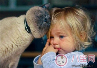 寶寶是熊孩子怎么辦?如何教育孩子不要妨礙他人呢? 寶寶是熊孩子怎么辦?如何教育孩子不要妨礙他人呢?