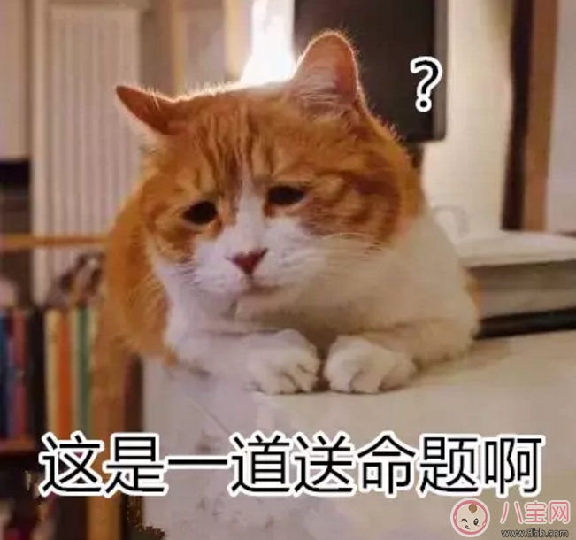 寶寶是熊孩子怎么辦?如何教育孩子不要妨礙他人呢? 寶寶是熊孩子怎么辦?如何教育孩子不要妨礙他人呢?