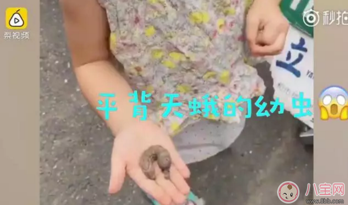 3歲娃徒手抓蟲是對是錯？家長該讓孩子親近自然嗎？