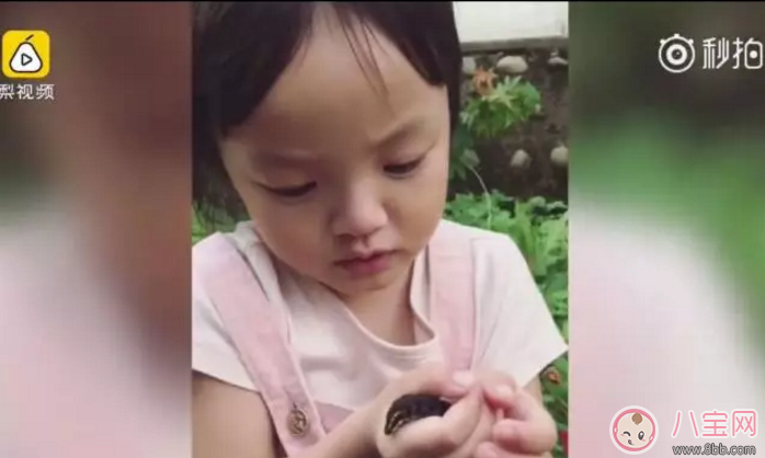 3歲娃徒手抓蟲是對是錯？家長該讓孩子親近自然嗎？