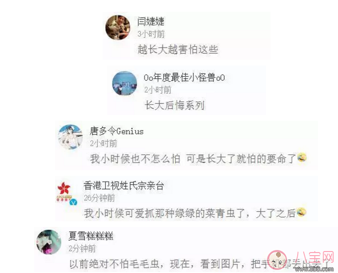 3歲娃徒手抓蟲是對是錯？家長該讓孩子親近自然嗎？