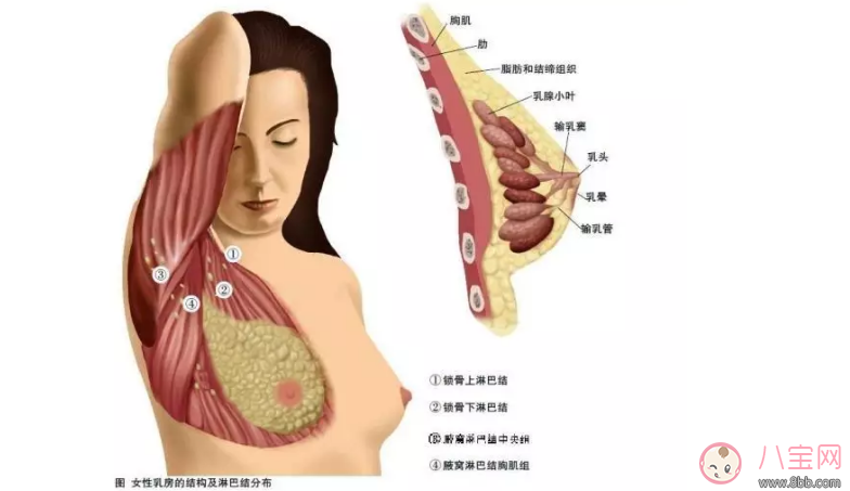 乳汁帶血是病變了嗎？乳汁帶血的原因？