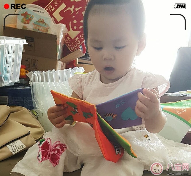 費雪布書好嗎 費雪布書中文英文對照寶寶喜歡看嗎(寶媽費雪布書測評) 費雪布書好嗎 費雪布書中文英文對照寶寶喜歡看嗎(寶媽費雪布書測評)