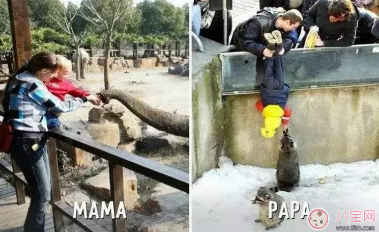 爸爸帶與媽媽帶孩子的區別 智商竟然差這么多