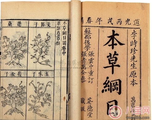 浙江小學(xué)中醫(yī)走進課堂 父母該支持孩子學(xué)習(xí)中醫(yī)知識嗎