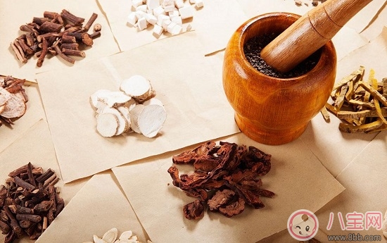 浙江小學(xué)中醫(yī)走進課堂 父母該支持孩子學(xué)習(xí)中醫(yī)知識嗎