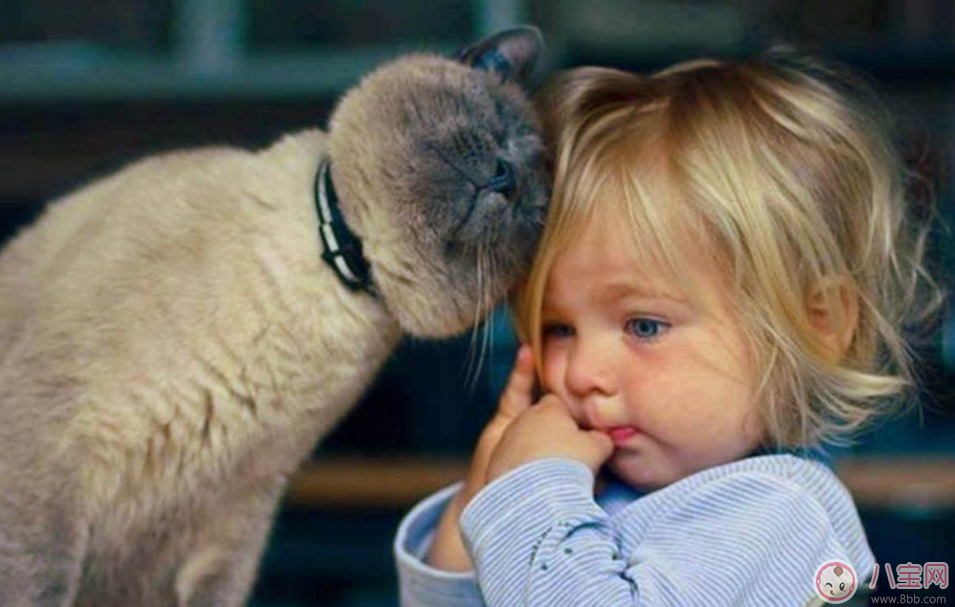 孩子被人說熊孩子怎么辦 可能是他有這些壞毛病 孩子被人說熊孩子怎么辦 可能是他有這些壞毛病