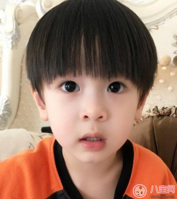 吳尊兒子max中文名叫什么 吳尊兒子max名字是什么意思