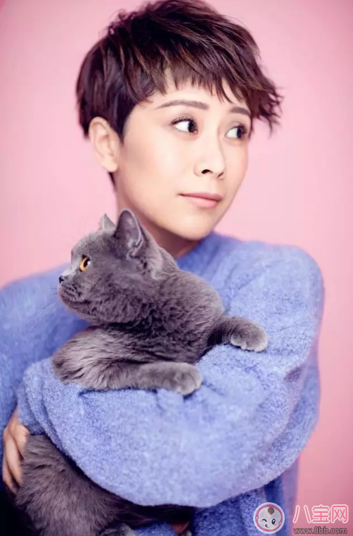 海清與兒子勝似好哥們 如何拉近與孩子的距離 海清與兒子勝似好哥們 如何拉近與孩子的距離