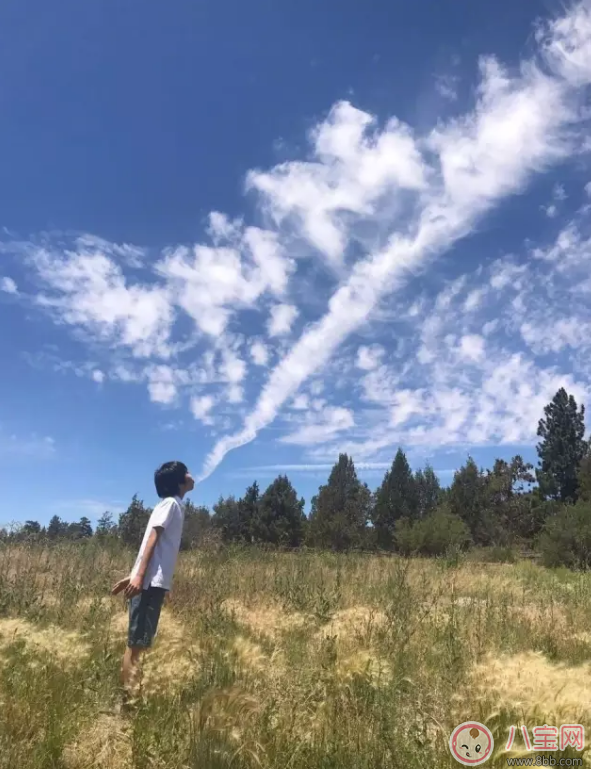 海清與兒子勝似好哥們 如何拉近與孩子的距離 海清與兒子勝似好哥們 如何拉近與孩子的距離