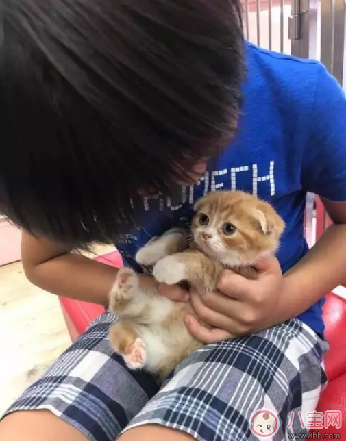 Kimi生日林志穎送他寵物 過敏體質如何養寵物