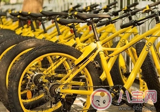 首例男孩騎單車身亡案開庭 家長應正確教導孩子使用共享單車