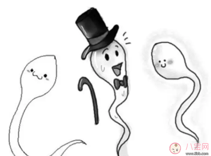 男性精子畸形不液化的原因什么 精子液化不良癥狀表現