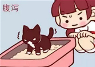 寶寶秋季腹瀉脫水怎么辦 寶寶秋季腹瀉輪狀病毒癥狀治療