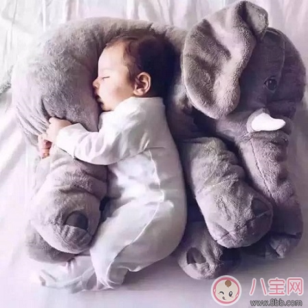 孩子的毛絨玩具都是螨蟲怎么辦 教你除螨方法