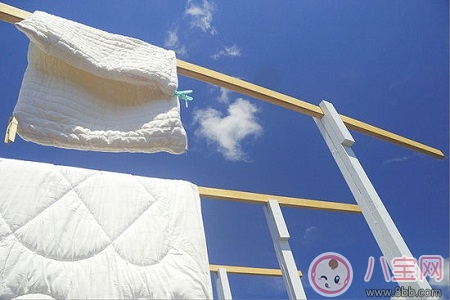 孩子的毛絨玩具都是螨蟲怎么辦 教你除螨方法