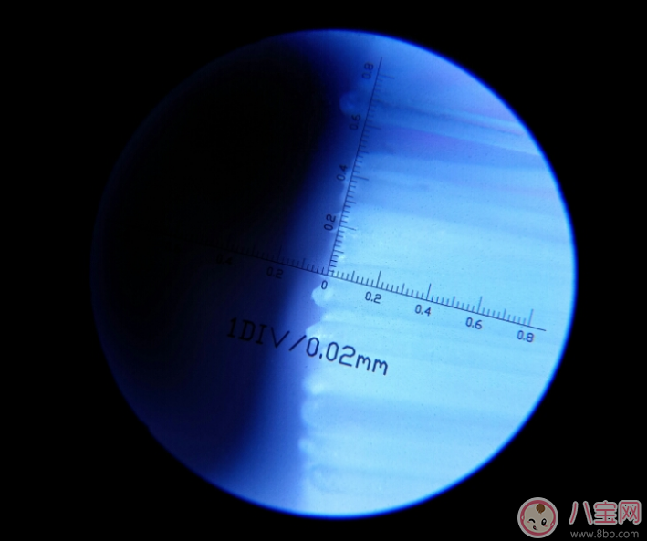 托馬斯和朋友電動牙刷怎么樣 托馬斯兒童電動牙刷刷毛好嗎