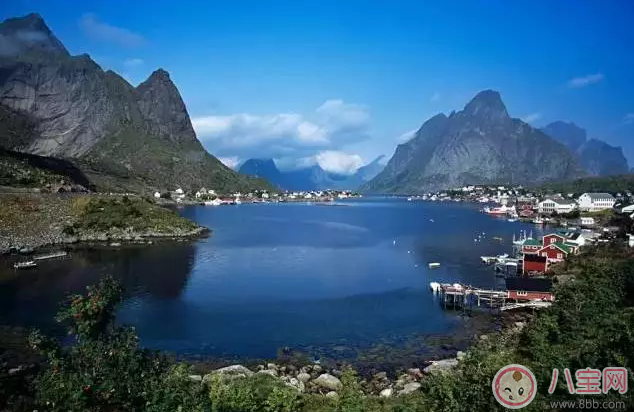 挪威小魚DHA怎么吃好 寶寶吃挪威小魚DHA要注意什么