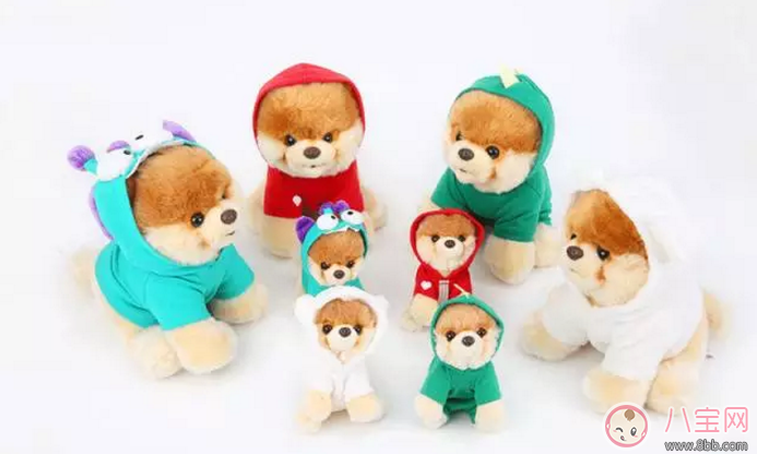 安吉劉亦菲同款美國GUND寵物狗小布怎么樣 美國GUND寵物狗小布寶寶會喜歡嗎