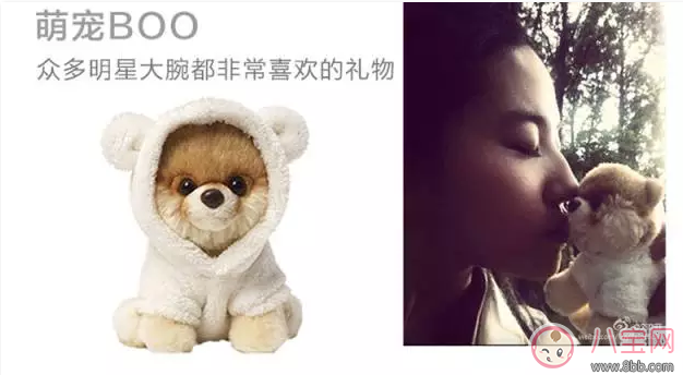 安吉劉亦菲同款美國GUND寵物狗小布怎么樣 美國GUND寵物狗小布寶寶會喜歡嗎