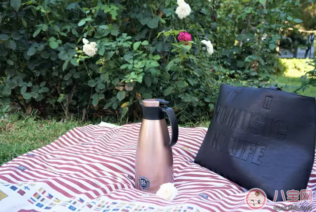 愛慕莎保溫水壺值得入手嗎 愛慕莎保溫水壺好不好 愛慕莎保溫水壺值得入手嗎 愛慕莎保溫水壺好不好