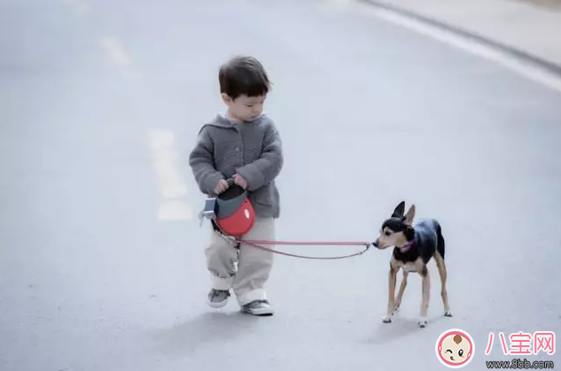 爸爸去哪兒嗯哼金句不斷 嗯哼節目所說金句盤點