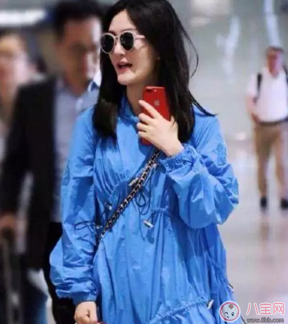 謝娜最新孕照 謝娜懷的是龍鳳胎嗎