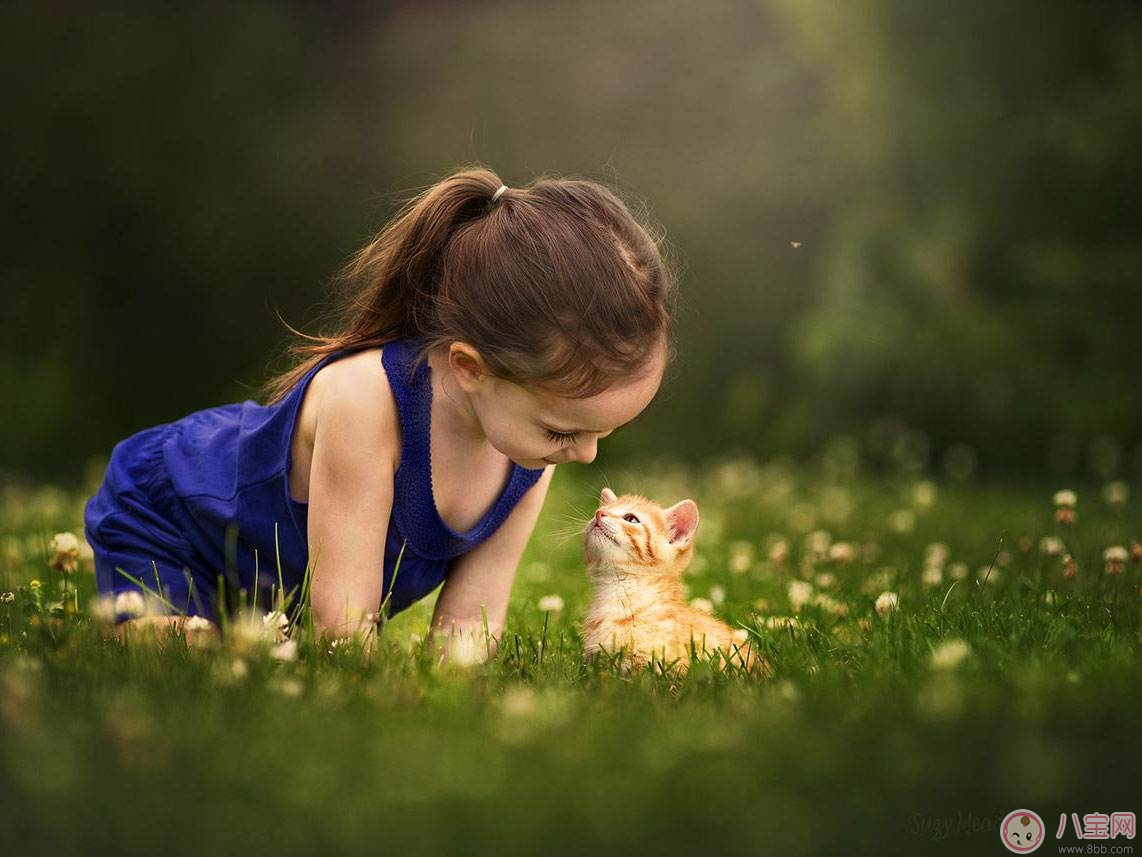 5歲孩子為什么愛頂嘴 家長如何分清情況教育孩子