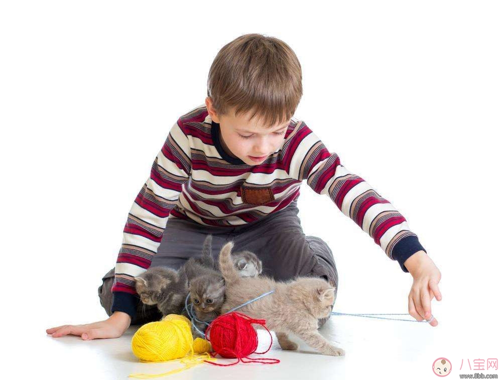 寶寶寵物過敏怎么辦 快速擺脫過敏的方法有哪些