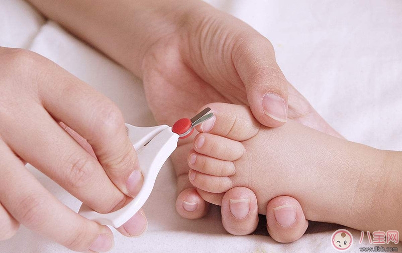 為什么要定時給寶寶修剪指甲 修剪指甲如何分散寶寶注意力 為什么要定時給寶寶修剪指甲 修剪指甲如何分散寶寶注意力