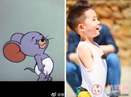 從爸爸去哪兒能看出的育兒經 明星爸爸是怎么育兒的