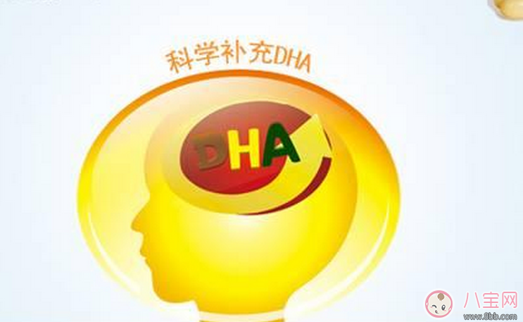寶寶吃飯不挑食有必要補充DHA嗎 寶寶要補充DHA的標準是什么