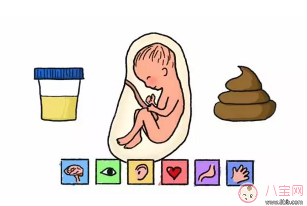 孕婦肚里有糞水嘛 寶寶在媽媽肚子里的羊水是糞水嗎
