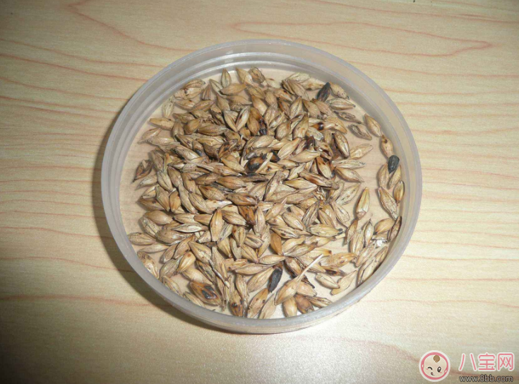 有沒有特殊的馬上回奶的食物 什么食物回奶最快