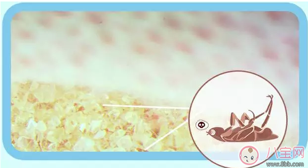 丸榮螨蟲貼有用嗎 丸榮螨蟲貼寶寶用效果好不好