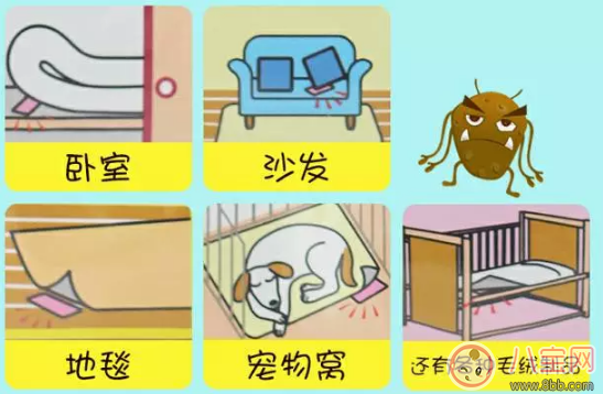 丸榮螨蟲貼有用嗎 丸榮螨蟲貼寶寶用效果好不好