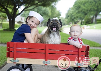 如何選購嬰兒車 寶寶長大了嬰兒車還能做什么
