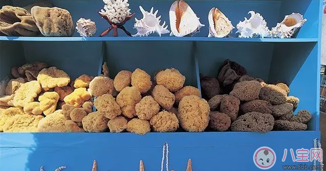 絲其樂沐浴海綿好不好 絲其樂沐浴海綿給寶寶洗澡怎么樣 絲其樂沐浴海綿好不好 絲其樂沐浴海綿給寶寶洗澡怎么樣