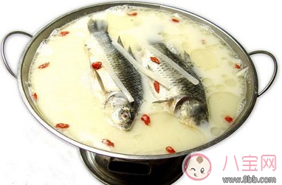 教你催奶湯品下奶鯽魚湯 多種做法輪著來營養不重樣